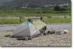 ���Y���̃e���g