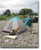 ���Y���P���͗l