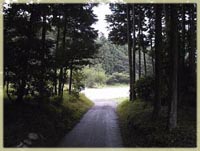 �͐�~������t��