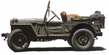 MB